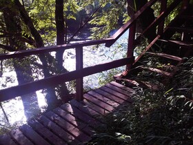 Cabañas Patagonia Mawida