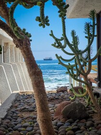 Hotel Arica
