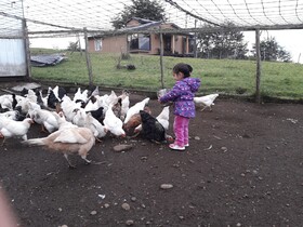 Agroturismo Los Colihues