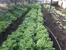 Agroturismo Los Colihues