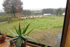 Agroturismo Los Colihues