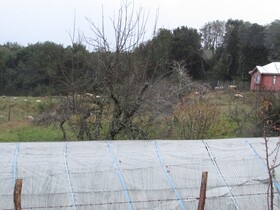 Agroturismo Los Colihues