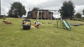 Agroturismo Los Colihues