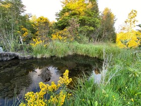 Hotel & Cava Estancia Rilán