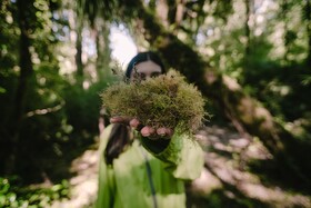 Lodge Parque Tepuhueico