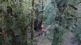 Lodge Parque Tepuhueico