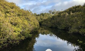 Lodge Parque Tepuhueico