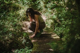 Lodge Parque Tepuhueico