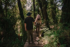 Lodge Parque Tepuhueico