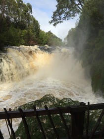 Lodge Parque Tepuhueico