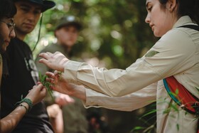 Lodge Parque Tepuhueico