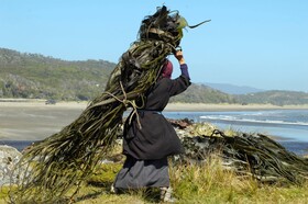 Lodge Parque Tepuhueico