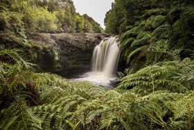 Lodge Parque Tepuhueico