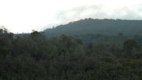 Lodge Parque Tepuhueico
