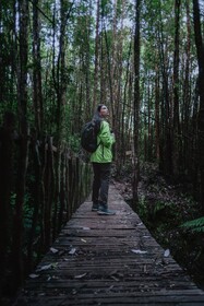 Lodge Parque Tepuhueico