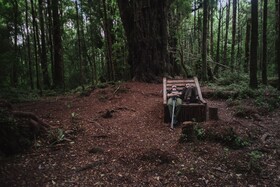 Lodge Parque Tepuhueico