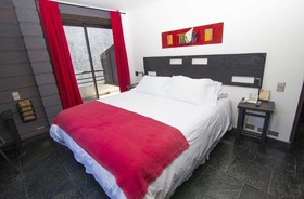 Hotel Newen
