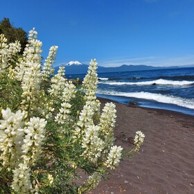 Hotel Lodge Las Cascadas