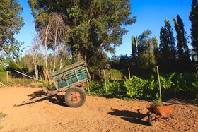 Hotel Boutique Raices De Colchagua