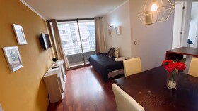 Apartamentos Plaza Bulnes