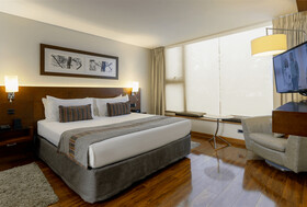 Zip Housing Callao Plus