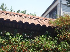 Casa Tota