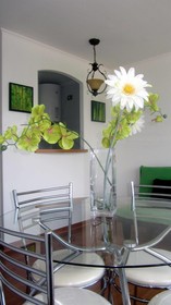 Departamento Don Miguel Claro