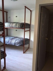 Hostel Dream and Trip