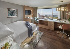 Mandarin Oriental Santiago