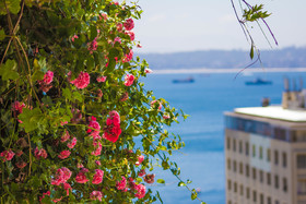 Hotel Boutique 17