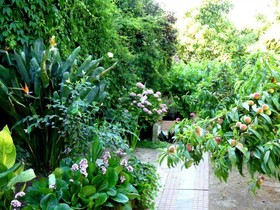 Puerto Natura