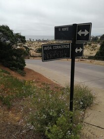 Oceana Suites Coraceros