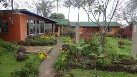 Tauraa