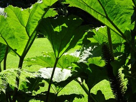 Espacio y Tiempo Hotel de Montaña