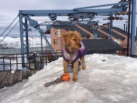 Colorado Apart Hotel