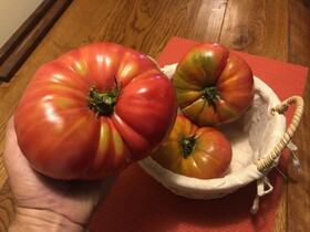 Hotel Casablanca BCW