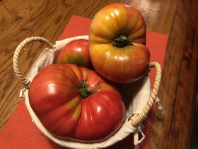 Hotel Casablanca BCW