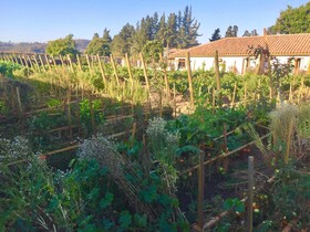 Hotel Casablanca BCW