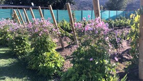 Hotel Casablanca BCW