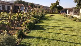 Hotel Casablanca BCW