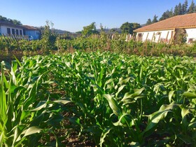 Hotel Casablanca BCW