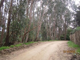 Cabanas Tu Bosque