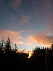 Cabanas Tu Bosque