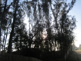 Cabanas Tu Bosque