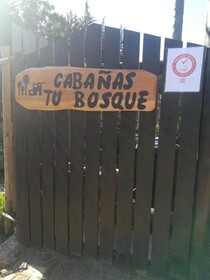 Cabanas Tu Bosque