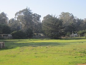 Cabanas Tu Bosque