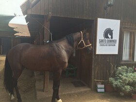 Hotel Scandinavia B&B