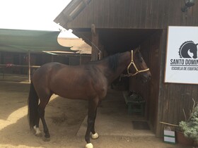 Hotel Scandinavia B&B