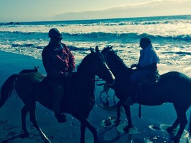 Hotel Scandinavia B&B