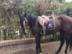 Hotel Scandinavia B&B